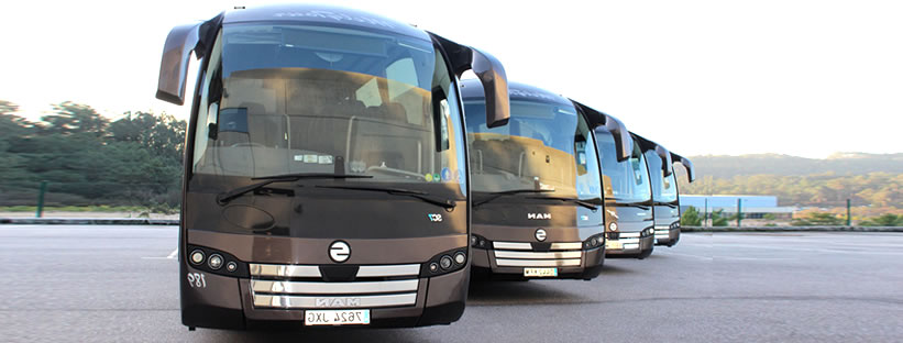 Empresa autobuses vigo y servicios, Autocares Melytour